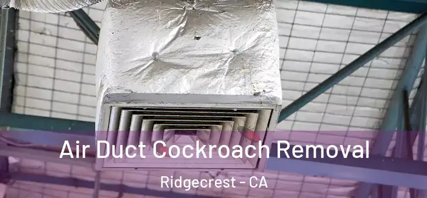  Air Duct Cockroach Removal Ridgecrest - CA
