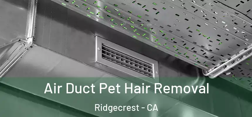 Air Duct Pet Hair Removal Ridgecrest - CA
