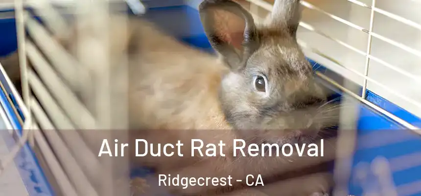  Air Duct Rat Removal Ridgecrest - CA