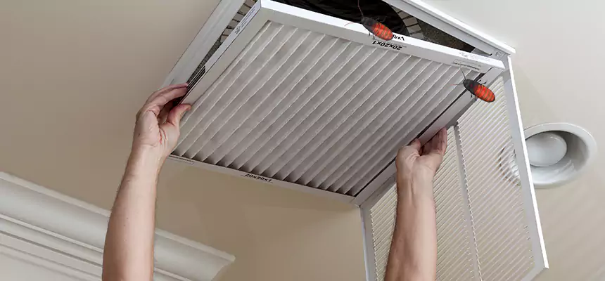 Our Insect Removal from Air Ducts Services in Ridgecrest, CA