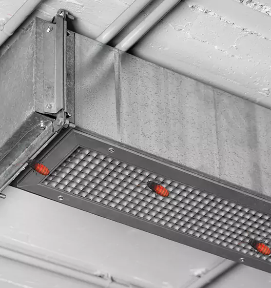 Affordable Insect Removal from Air Ducts in Ridgecrest, CA
