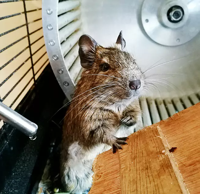 Why Homeowners & Businesses Trust Us Ridgecrest, CA